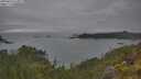 ./images/calvert/foggy-cove/20250623/foggy-cove20250623_114509M.jpg