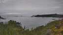 ./images/calvert/foggy-cove/20250623/foggy-cove20250623_115510M.jpg