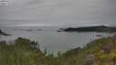 ./images/calvert/foggy-cove/20250623/foggy-cove20250623_121010M.jpg