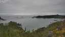 ./images/calvert/foggy-cove/20250623/foggy-cove20250623_122510M.jpg
