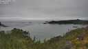 ./images/calvert/foggy-cove/20250623/foggy-cove20250623_123011M.jpg