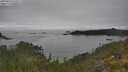 ./images/calvert/foggy-cove/20250623/foggy-cove20250623_123511M.jpg