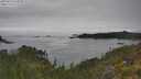 ./images/calvert/foggy-cove/20250623/foggy-cove20250623_124510M.jpg