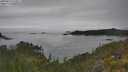 ./images/calvert/foggy-cove/20250623/foggy-cove20250623_125007M.jpg