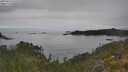 ./images/calvert/foggy-cove/20250623/foggy-cove20250623_125510M.jpg
