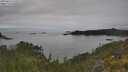 ./images/calvert/foggy-cove/20250623/foggy-cove20250623_130012M.jpg