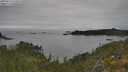 ./images/calvert/foggy-cove/20250623/foggy-cove20250623_132008M.jpg