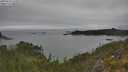 ./images/calvert/foggy-cove/20250623/foggy-cove20250623_133012M.jpg