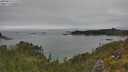 ./images/calvert/foggy-cove/20250623/foggy-cove20250623_133510M.jpg