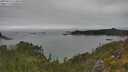 ./images/calvert/foggy-cove/20250623/foggy-cove20250623_134010M.jpg