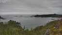 ./images/calvert/foggy-cove/20250623/foggy-cove20250623_134510M.jpg