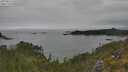 ./images/calvert/foggy-cove/20250623/foggy-cove20250623_135510M.jpg