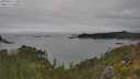 ./images/calvert/foggy-cove/20250623/foggy-cove20250623_140010M.jpg