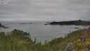 ./images/calvert/foggy-cove/20250623/foggy-cove20250623_140510M.jpg