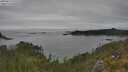 ./images/calvert/foggy-cove/20250623/foggy-cove20250623_141510M.jpg