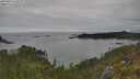 ./images/calvert/foggy-cove/20250623/foggy-cove20250623_142510M.jpg