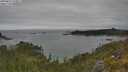 ./images/calvert/foggy-cove/20250623/foggy-cove20250623_143011M.jpg
