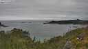 ./images/calvert/foggy-cove/20250623/foggy-cove20250623_143509M.jpg