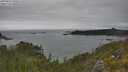 ./images/calvert/foggy-cove/20250623/foggy-cove20250623_144509M.jpg