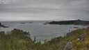 ./images/calvert/foggy-cove/20250623/foggy-cove20250623_145011M.jpg