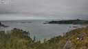 ./images/calvert/foggy-cove/20250623/foggy-cove20250623_152010M.jpg