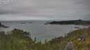 ./images/calvert/foggy-cove/20250623/foggy-cove20250623_152510M.jpg