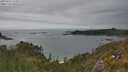 ./images/calvert/foggy-cove/20250623/foggy-cove20250623_154509M.jpg