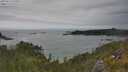 ./images/calvert/foggy-cove/20250623/foggy-cove20250623_155010M.jpg