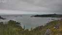 ./images/calvert/foggy-cove/20250623/foggy-cove20250623_160009M.jpg