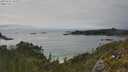./images/calvert/foggy-cove/20250623/foggy-cove20250623_164511M.jpg