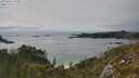 ./images/calvert/foggy-cove/20250623/foggy-cove20250623_165011M.jpg