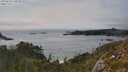 ./images/calvert/foggy-cove/20250623/foggy-cove20250623_170510M.jpg