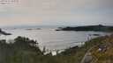 ./images/calvert/foggy-cove/20250623/foggy-cove20250623_182010M.jpg