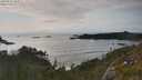 ./images/calvert/foggy-cove/20250623/foggy-cove20250623_183507M.jpg