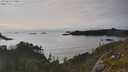 ./images/calvert/foggy-cove/20250623/foggy-cove20250623_190009M.jpg