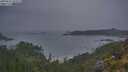 ./images/calvert/foggy-cove/20250624/foggy-cove20250624_051009M.jpg