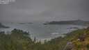 ./images/calvert/foggy-cove/20250624/foggy-cove20250624_054508M.jpg