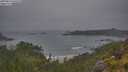 ./images/calvert/foggy-cove/20250624/foggy-cove20250624_055508M.jpg