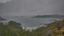 ./images/calvert/foggy-cove/20250624/foggy-cove20250624_063508M.jpg