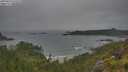 ./images/calvert/foggy-cove/20250624/foggy-cove20250624_074510M.jpg