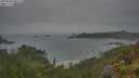 ./images/calvert/foggy-cove/20250624/foggy-cove20250624_081510M.jpg
