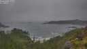./images/calvert/foggy-cove/20250624/foggy-cove20250624_082508M.jpg