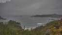 ./images/calvert/foggy-cove/20250624/foggy-cove20250624_085011M.jpg