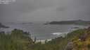 ./images/calvert/foggy-cove/20250624/foggy-cove20250624_090011M.jpg