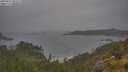 ./images/calvert/foggy-cove/20250624/foggy-cove20250624_091009M.jpg