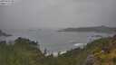 ./images/calvert/foggy-cove/20250624/foggy-cove20250624_091510M.jpg