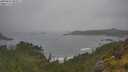 ./images/calvert/foggy-cove/20250624/foggy-cove20250624_092007M.jpg