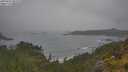./images/calvert/foggy-cove/20250624/foggy-cove20250624_092510M.jpg