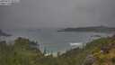 ./images/calvert/foggy-cove/20250624/foggy-cove20250624_093010M.jpg