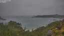 ./images/calvert/foggy-cove/20250624/foggy-cove20250624_095010M.jpg